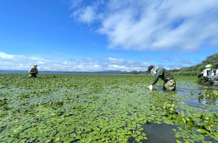 環境学習・体験イメージ写真
