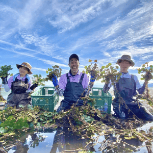 猪苗代湖の水環境保全体験プログラムイメージ写真