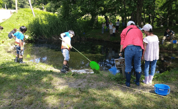 外来種防除体験プログラムイメージ写真