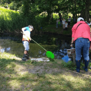 外来種防除体験プログラムイメージ写真
