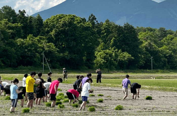 農業体験イメージ写真