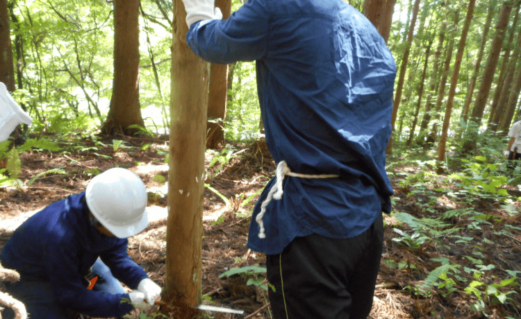 林業体験イメージ写真