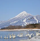 スポット画像1のサムネイル